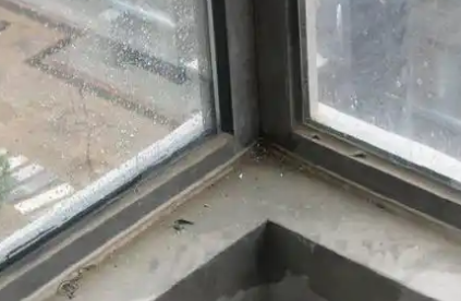 窗户维修